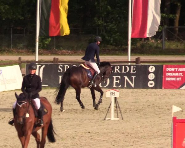Reitturnier Westergellersen 2023
