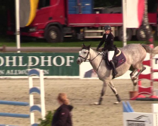 Reitturnier Westergellersen 2023
