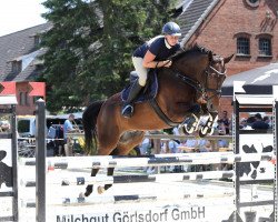 jumper Robin 743 (Hanoverian, 2009, from Sonnyfero)