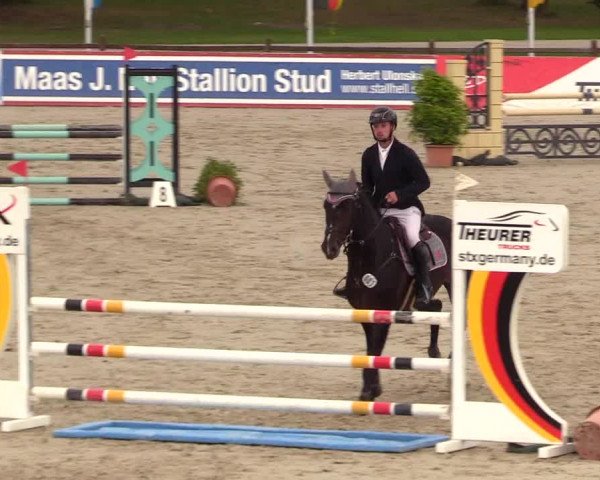 Reitturnier Westergellersen 2023
