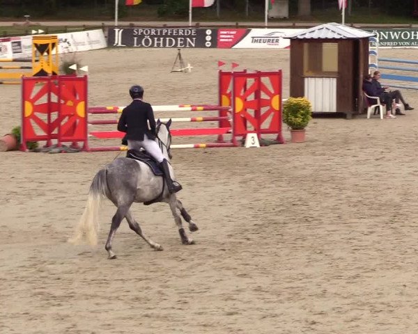 Reitturnier Westergellersen 2023