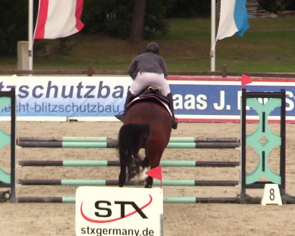 Reitturnier Westergellersen 2023