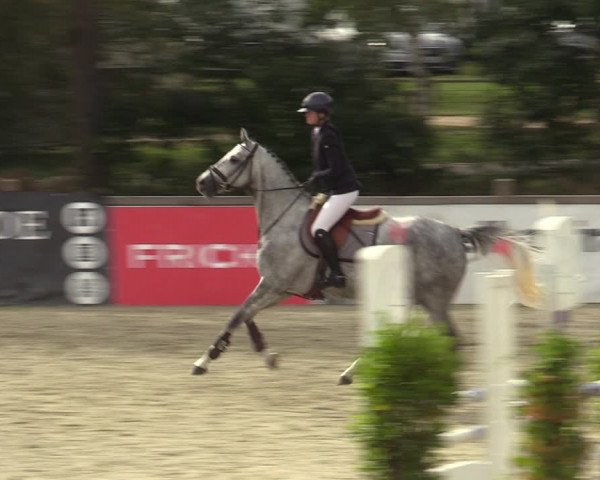 Reitturnier Westergellersen 2023