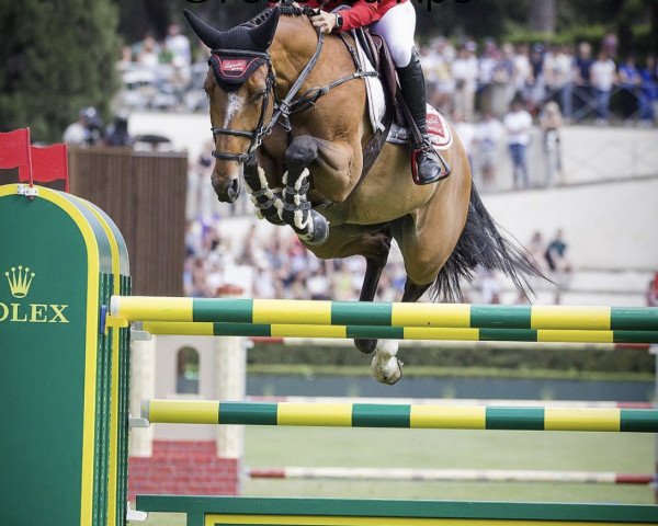 jumper Sprehe Hot Easy (KWPN (Royal Dutch Sporthorse), 2012, from Andiamo)