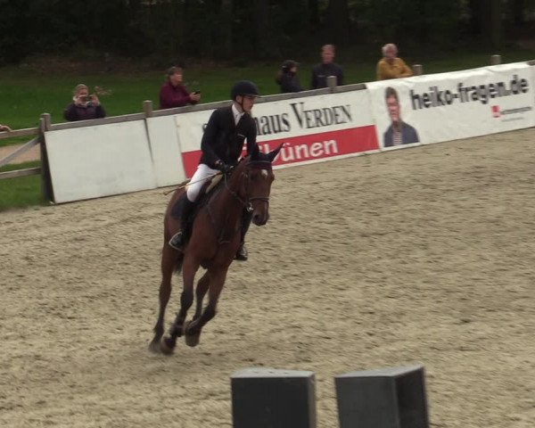 Reitturnier Westergellersen 2023