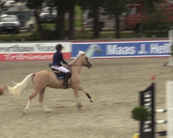 Reitturnier Westergellersen 2023