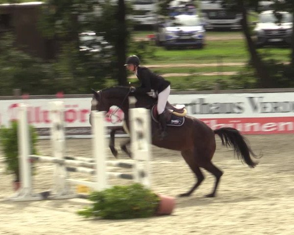 Reitturnier Westergellersen 2023