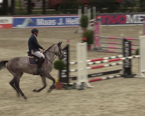 Reitturnier Westergellersen 2023