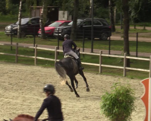 Reitturnier Westergellersen 2023