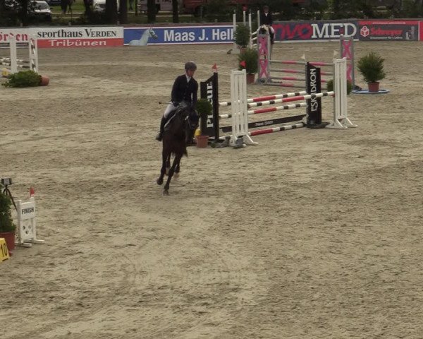 Reitturnier Westergellersen 2023