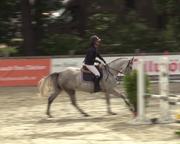 Reitturnier Westergellersen 2023