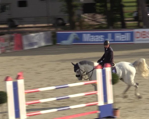 Reitturnier Westergellersen 2023