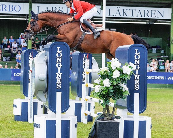 jumper Dartanion (Westphalian, 2013, from Dibadu L)