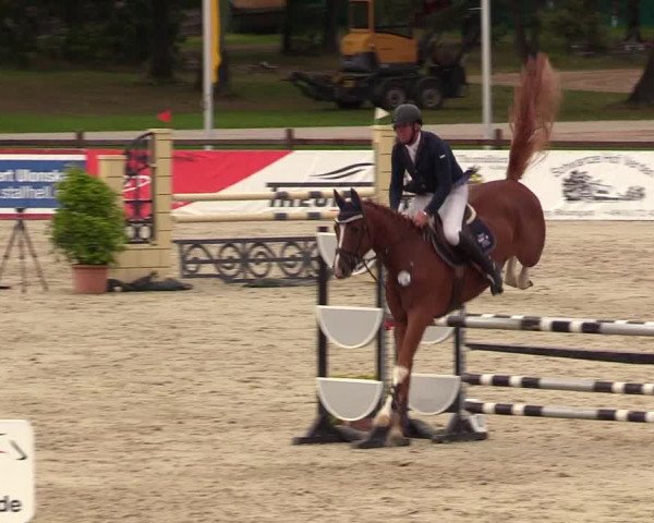 Reitturnier Westergellersen 2023