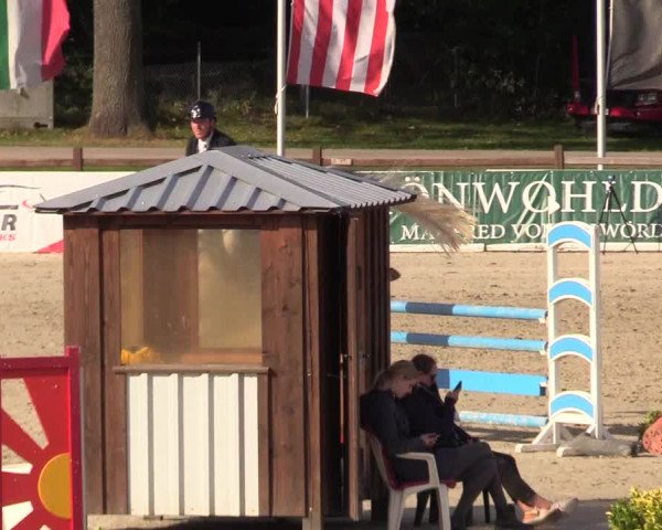 Reitturnier Westergellersen 2023