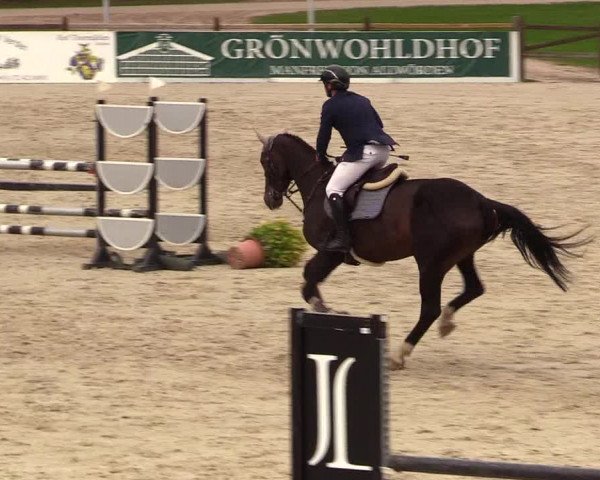 Reitturnier Westergellersen 2023
