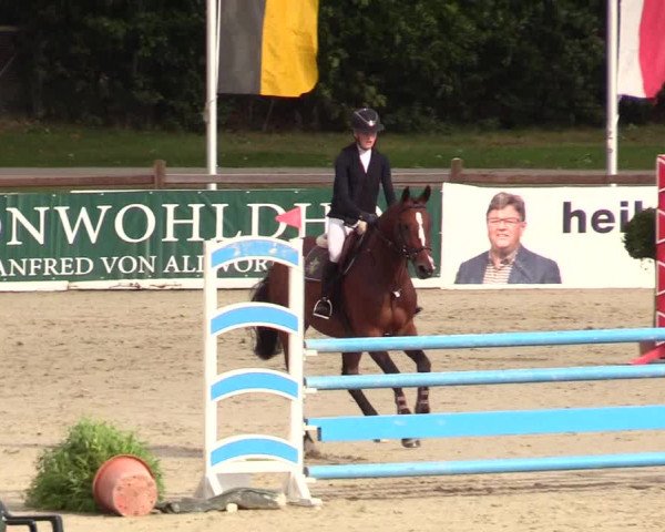 Reitturnier Westergellersen 2023
