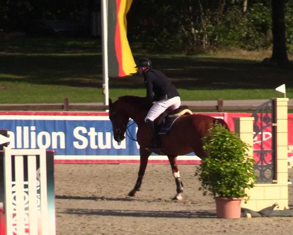Reitturnier Westergellersen 2023