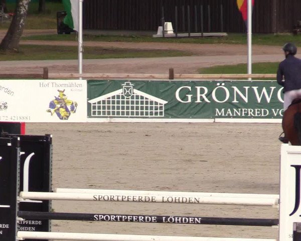 Reitturnier Westergellersen 2023