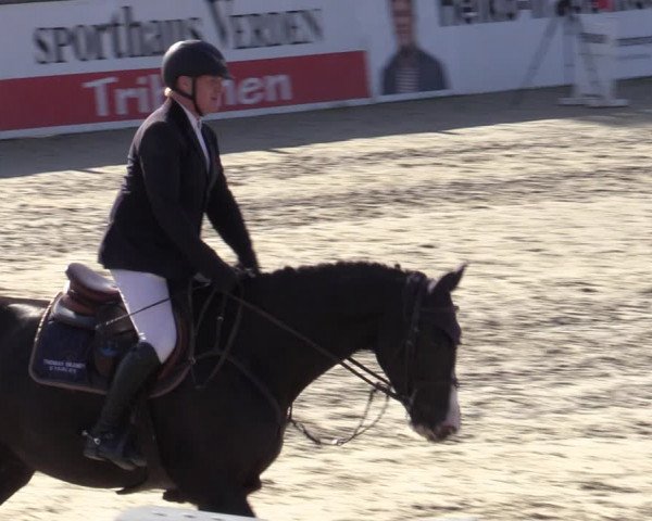 Reitturnier Westergellersen 2023