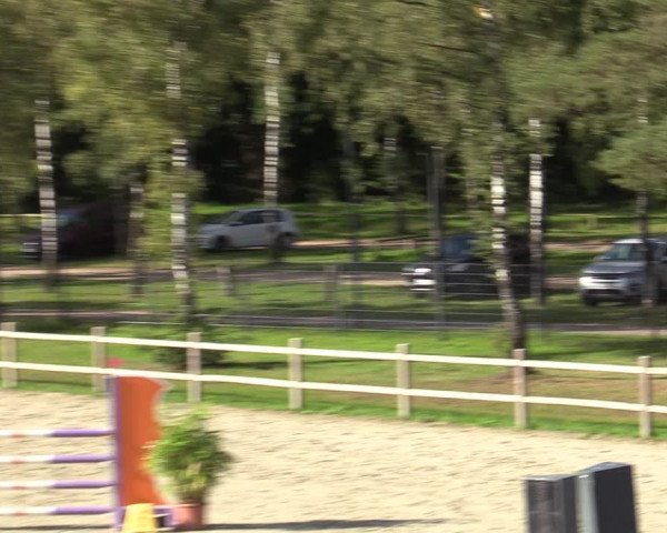 Reitturnier Westergellersen 2023