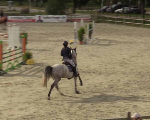 Reitturnier Westergellersen 2023