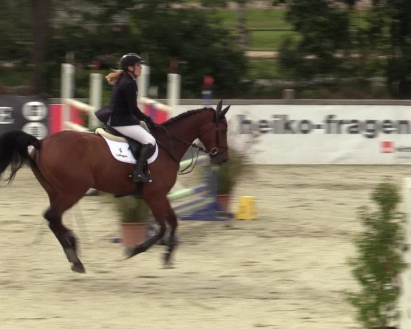 Reitturnier Westergellersen 2023
