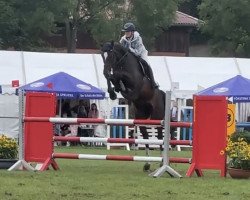 jumper Pauline 465 (Hanoverian, 2016, from Perigueux)