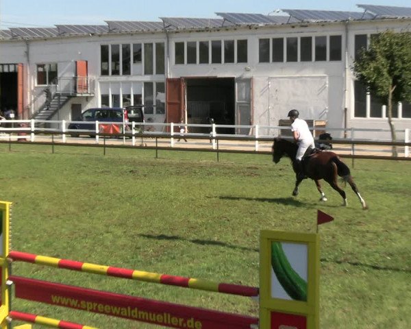 Reitturnier Lübbenau / Groß Klessow 2023