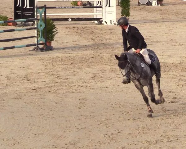 Reitturnier Westergellersen 2023