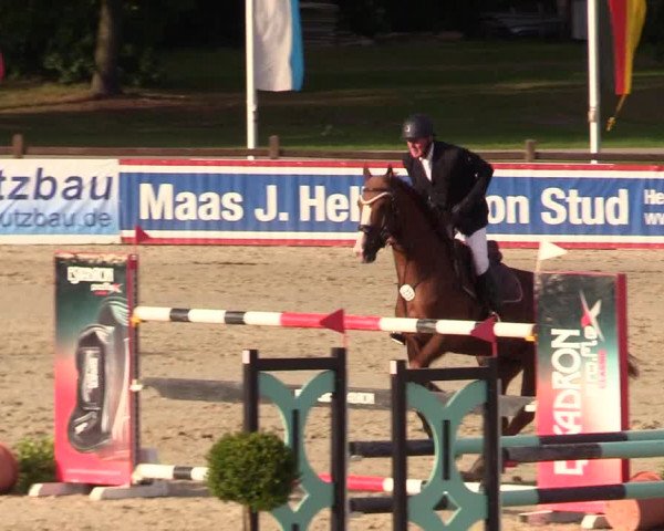 Reitturnier Westergellersen 2023