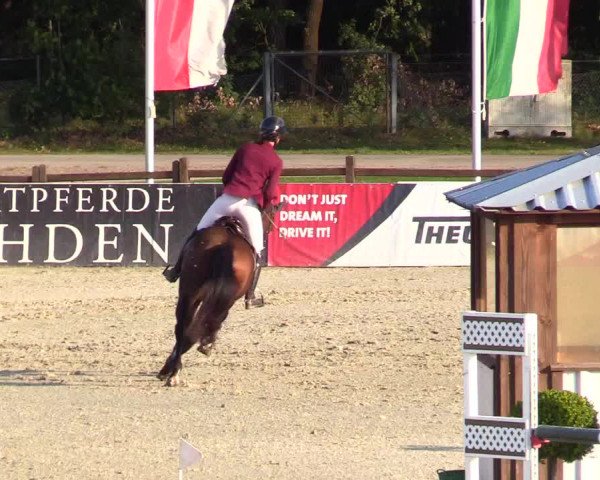 Reitturnier Westergellersen 2023