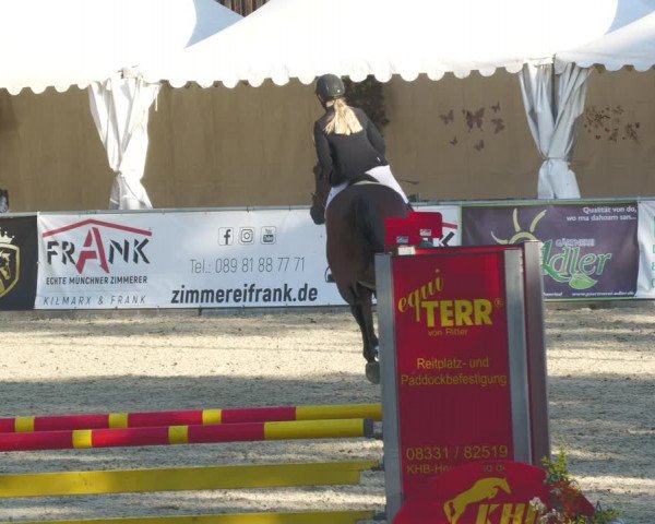 Reitturnier Karlsfeld 2023