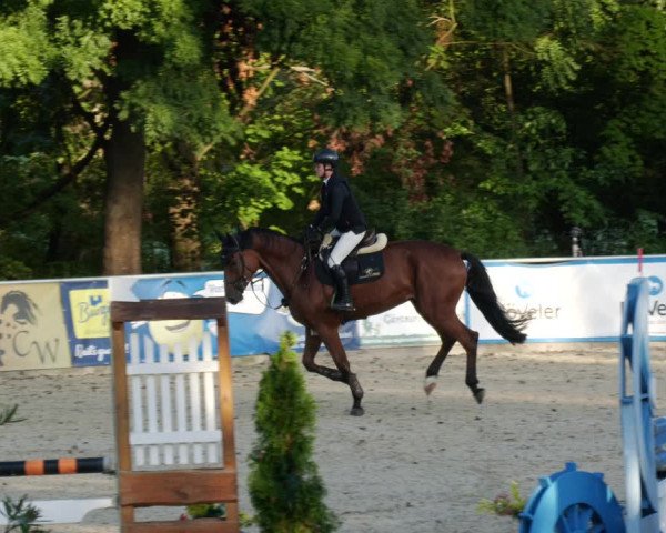 Reitturnier Karlsfeld 2023