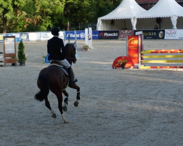 Reitturnier Karlsfeld 2023