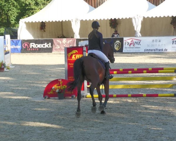 Reitturnier Karlsfeld 2023