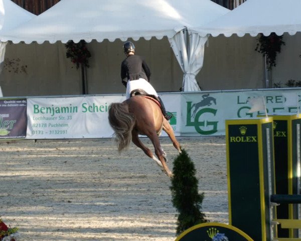 Reitturnier Karlsfeld 2023