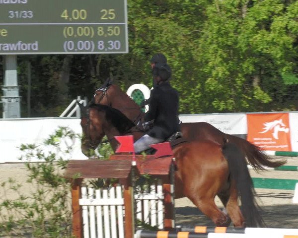 Reitturnier Karlsfeld 2023