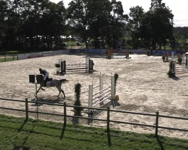 Reitturnier Westergellersen 2023