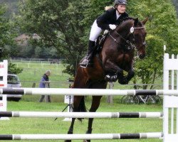 jumper Leo (Hanoverian, 1998, from Laptop)