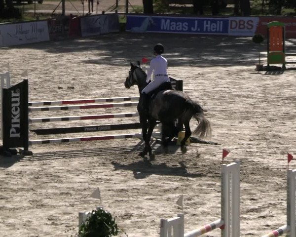 Reitturnier Westergellersen 2023