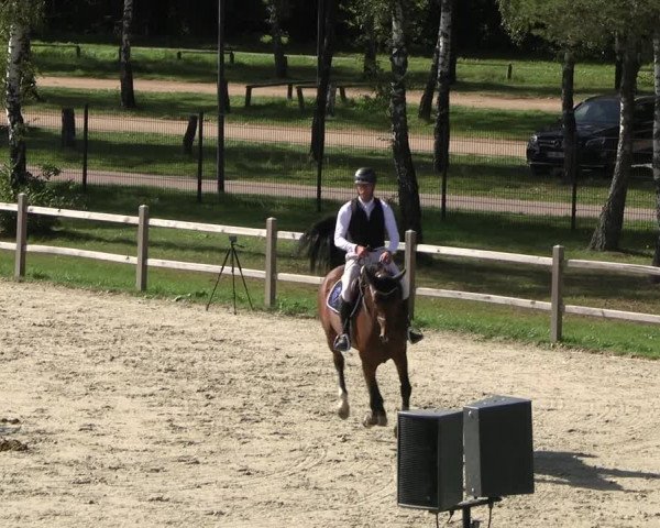 Reitturnier Westergellersen 2023