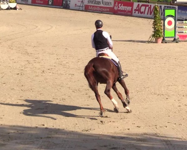 Reitturnier Westergellersen 2023