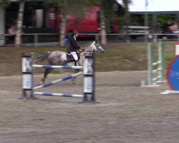 Reitturnier Lgl.-Oberhain, B95 2021