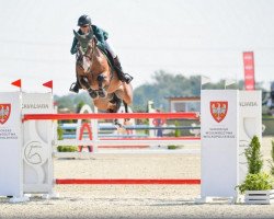 jumper La Vulkano L (polish noble half-breed, 2012, from Vulkan L)