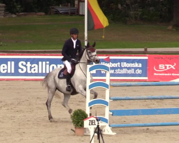 Reitturnier Westergellersen 2023