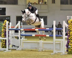 jumper Princess Leah (Irish Sport Horse, 2006, from Douglas)