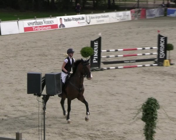 Reitturnier Westergellersen 2023