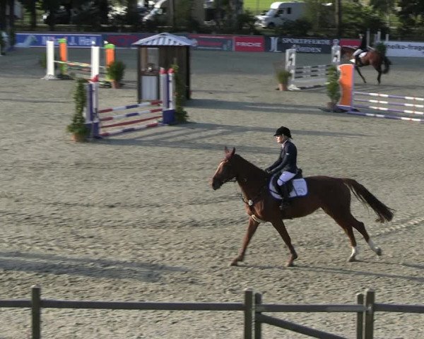 Reitturnier Westergellersen 2023
