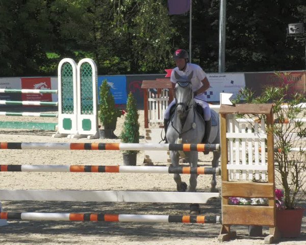 Reitturnier Karlsfeld 2023